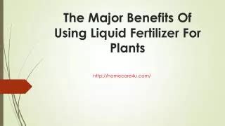 Benefits of Using Fermentation Liquid as Fertilizer