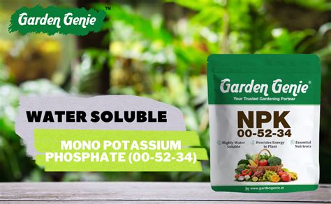 Benefits of Using Mono Potassium Phosphate Fertilizer