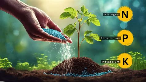 Benefits of Using NPK Fertilizer Machine