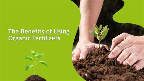 Benefits of Using Organic All-Purpose Fertilizers