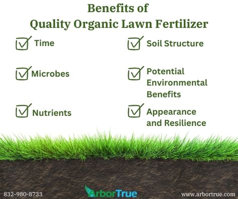 Benefits of Using Organic Lawn Fertilizers