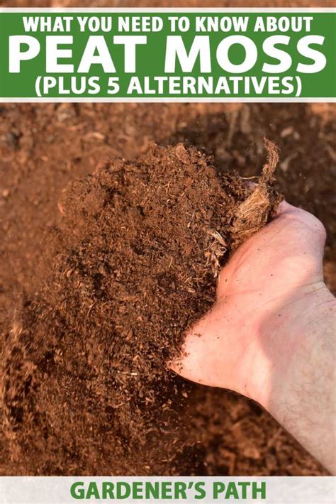 Benefits of Using Peat Moss and Fertilizer