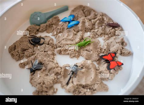 Benefits of Using Toy Insects for Social Skills Development