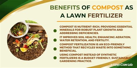 Benefits of Using a Compost Fertilizer Drier