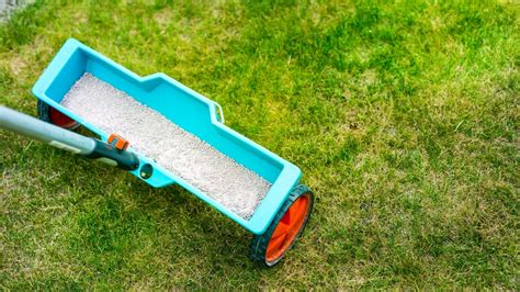 Benefits of Using the Cheapest Lawn Fertilizer