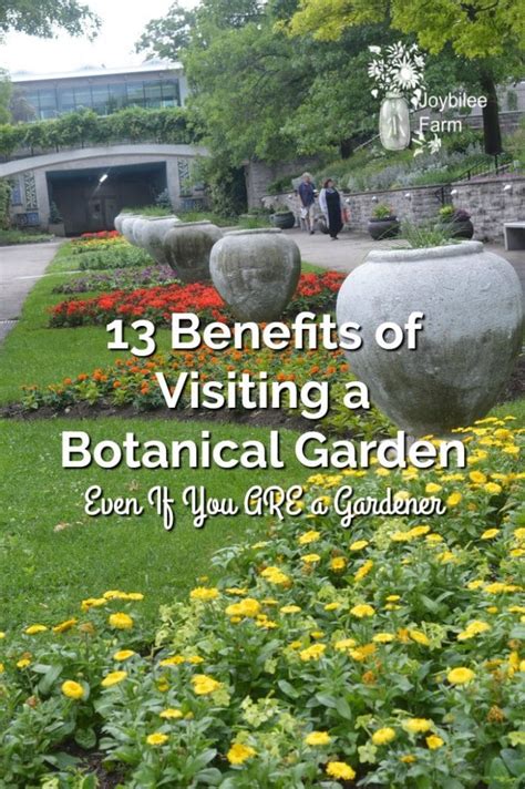 Benefits of Visiting a Botanical Garden