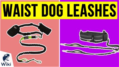 Benefits of Waistband Dog Leashes