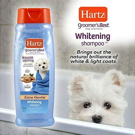 Benefits of Whitening Shampoo for Dogs