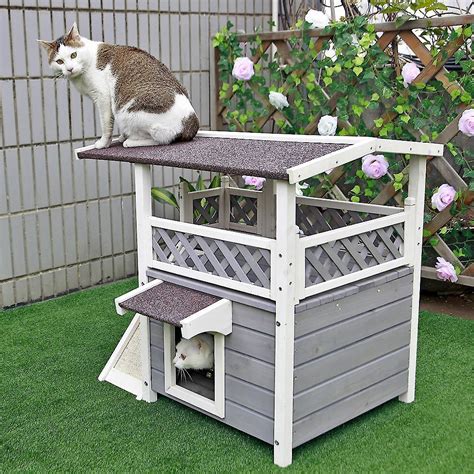 Benefits of an Outdoor Cat House