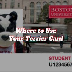 Benefits of the Boston University Terrier Card