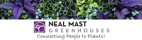Benefits of the Neal Mast and Son Greenhouse Associate Program
