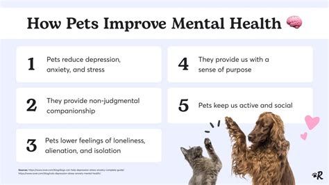 Benevet for pet anxiety and stress