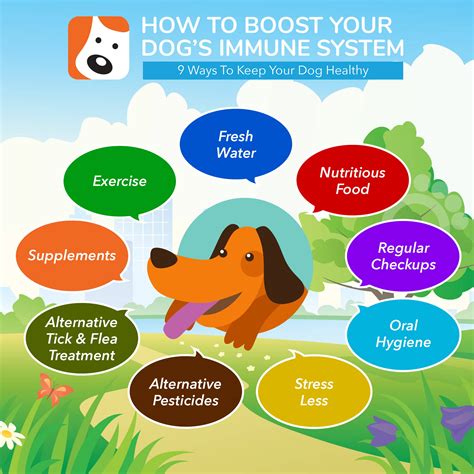 Benevet for pet immune system support