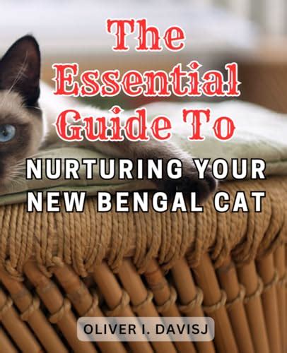 Bengal Cats for Adoption: A Comprehensive Guide to Finding Your Feline Companion