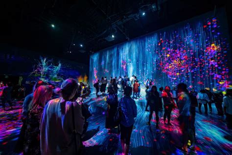 Benjamin Lawless Internship: An Immersive Experience in Tech Innovation