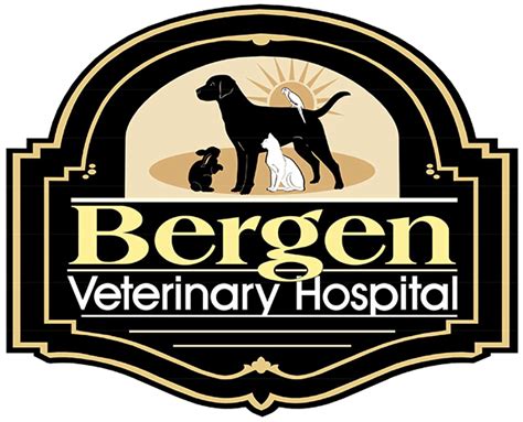 Bergen Veterinary Hospital: 2023's Premier Pet Care Destination in Teaneck, New Jersey