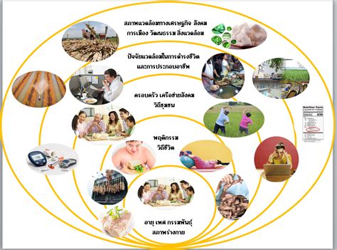 Berina A41: นวัตกรรมอัจฉริยะเพื่อความสุขและความปลอดภัยในบ้านของคุณ