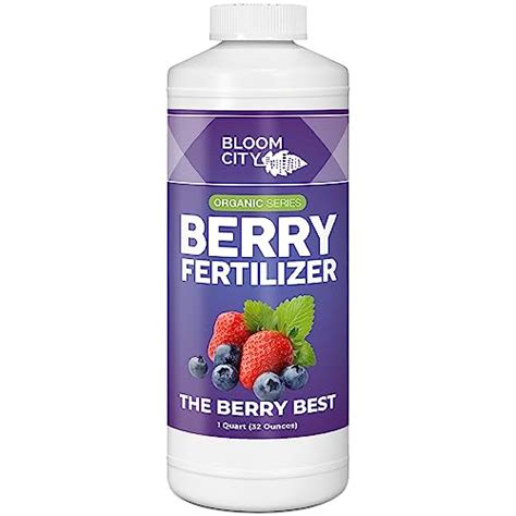 Berry Fertilizer: The Ultimate Guide to Feeding Your Plants for Maximum Yield