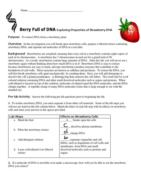 Berry Full Of Dna Answers Ebook Epub