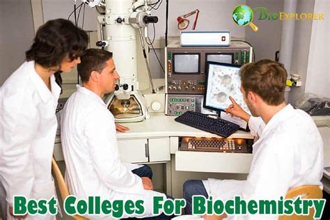 Best Biochemistry Programs: A Deep Dive into the Top Universities for Biochemistry Education