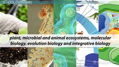 Best Biology PhD Programs: A Comprehensive Guide