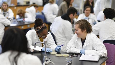 Best Colleges for Pre-Med: Paving the Path to Medical Excellence