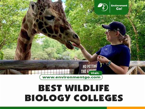 Best Colleges for Wildlife Biology in the Nation