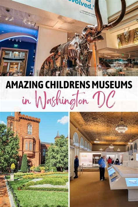 Best DC Museums for Kids: Unleash Learning and Adventure