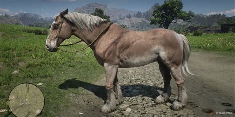 Best Horse Breeds in RDR2