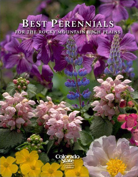 Best Perennials for the Rocky Mountains and High Plains Epub