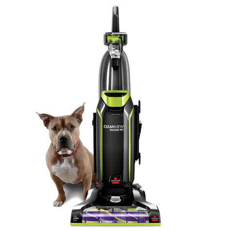 Best Pet Vacuums for Every Need