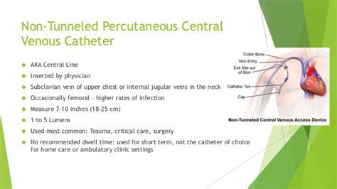 Best Practice in Venous Procedures Doc