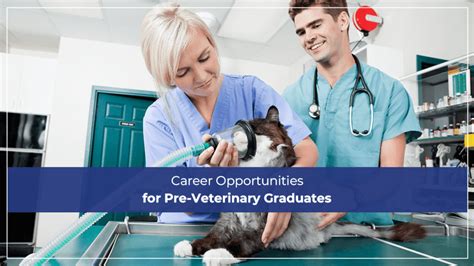 Best Pre-Veterinary Colleges for a Promising Career in Animal Care