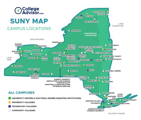 Best SUNY Colleges: A Comprehensive Guide to New York's Public University System