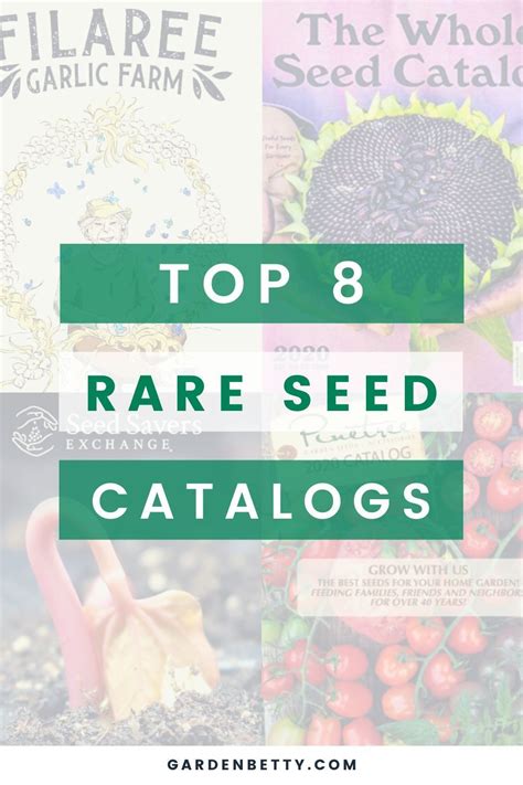 Best Seed Catalog Companies