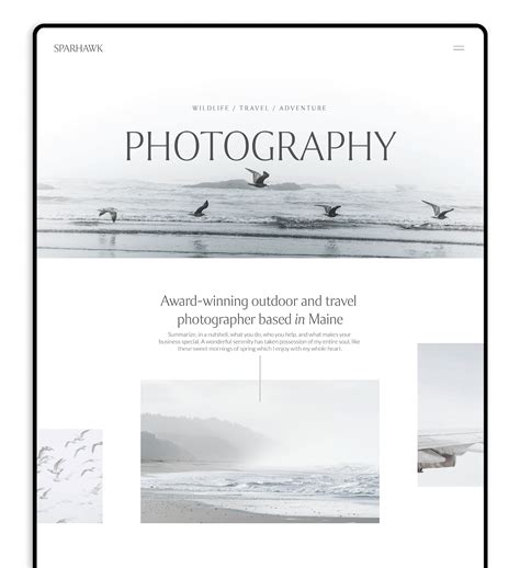 Best Squarespace Template For Photographers