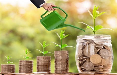 Best States to Buy a New Car: A Comprehensive Guide for Savings and Satisfaction