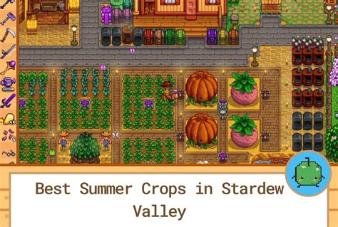 Best Summer Crops in Stardew Valley