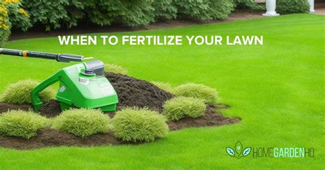 Best Time to Fertilize Your Lawn: The Ultimate Guide for 2023