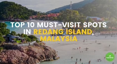 Best Time to Visit Pulau Redang in 6 Months & 5 Days