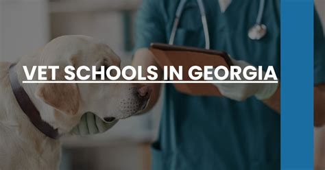 Best Vet Schools in Georgia