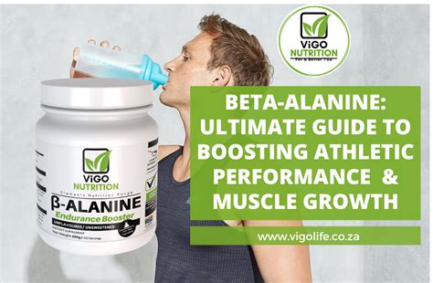 Beta-Alanine: The Ultimate Guide to Enhanced Muscle Performance