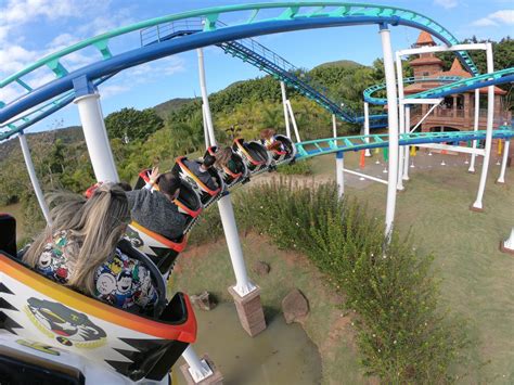 Beto Carrero World: Um Destino Mágico e Divertido para a Família Toda