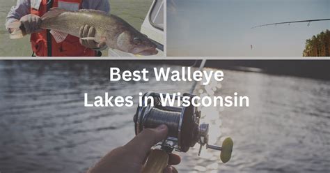 Bets Walleye Lake: A Biological Overview