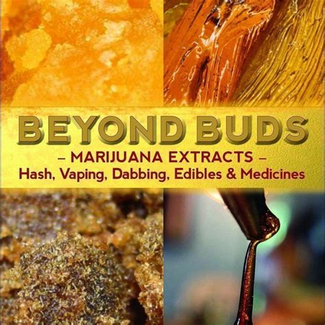 Beyond Buds Marijuana Extracts Hash Vaping Dabbing Edibles and Medicines Epub