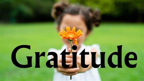 Beyond Gratitude: The Transformative Power of Action de Grace