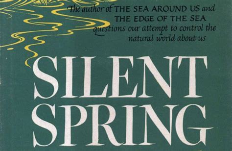 Beyond Silent Spring 1st Edition Epub