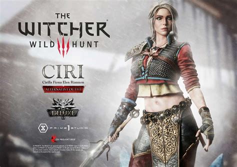 Beyond the Witcher's Embrace: A Comprehensive Guide to Ciri's Alternative Looks