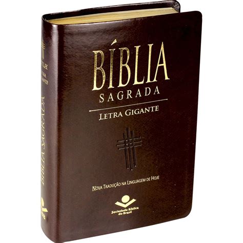 Biblia Letra Gigante Book Block Kindle Editon