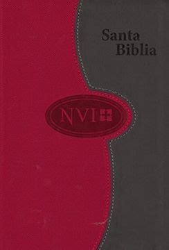 Biblia NVI de letra grande-A dos tonos Gris Color ladrillo Spanish Edition Kindle Editon
